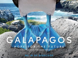 Galapagos